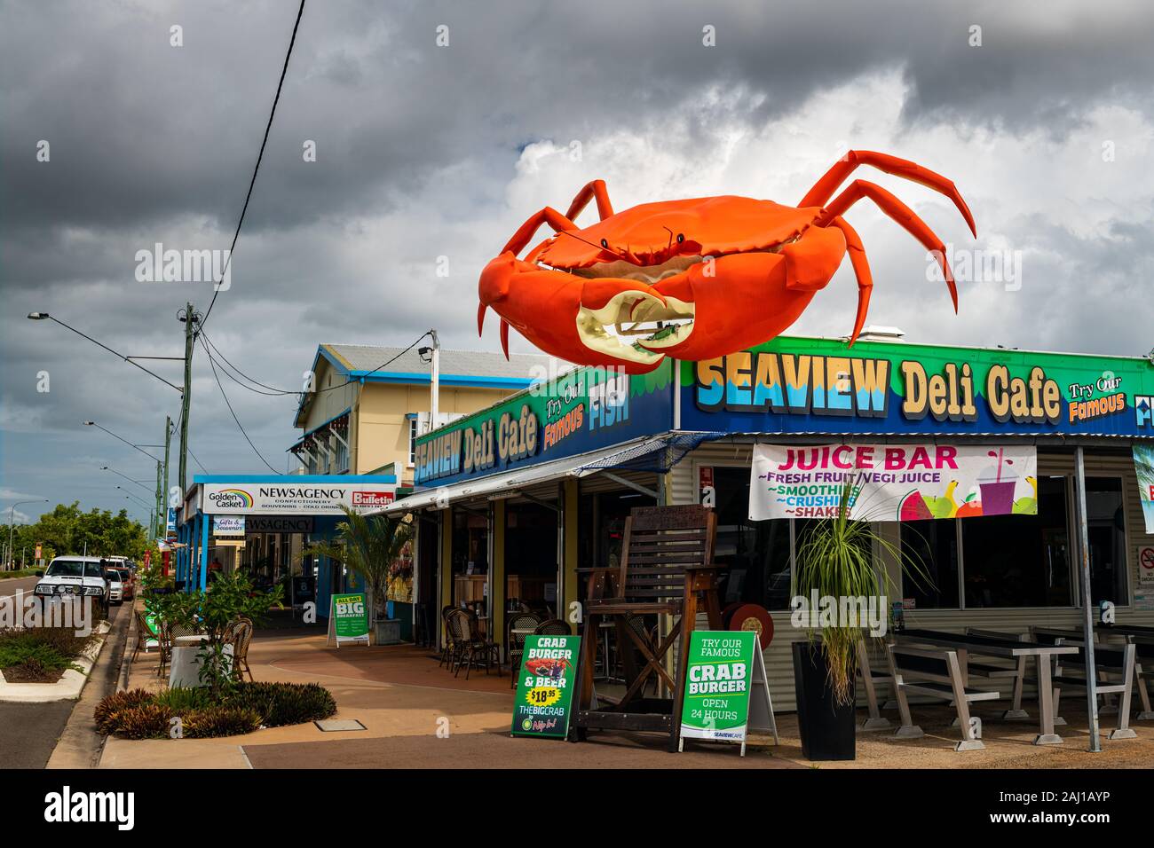 Große Krabbe von Cardwell in den Tropen von Queensland. Stockfoto