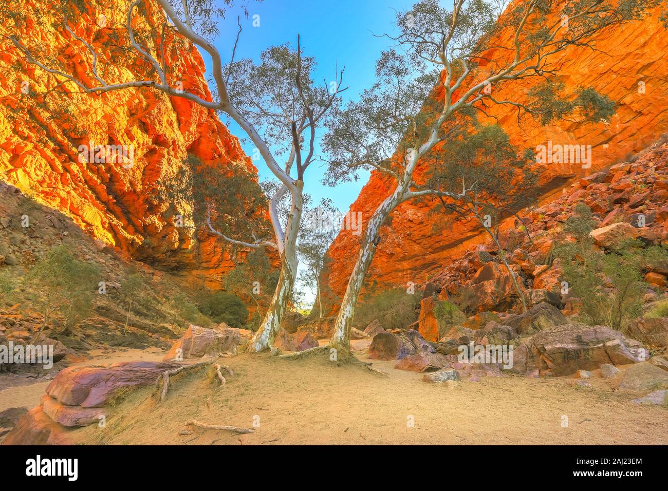 Malerische Simpsons Gap und dauerhafte Vegetation in West MacDonnell Ranges, in der Nähe von Alice Springs am Larapinta Trail im Winter, Australien Stockfoto