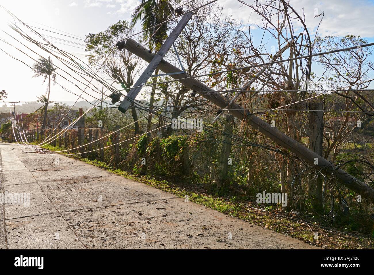 Die Insel Boracay, Aklan Provinz, Philippinen: Taifun Ursula verursachten umgestürzte Bäume, Stromleitungen, strukturelle Schäden auf Boracay Stockfoto