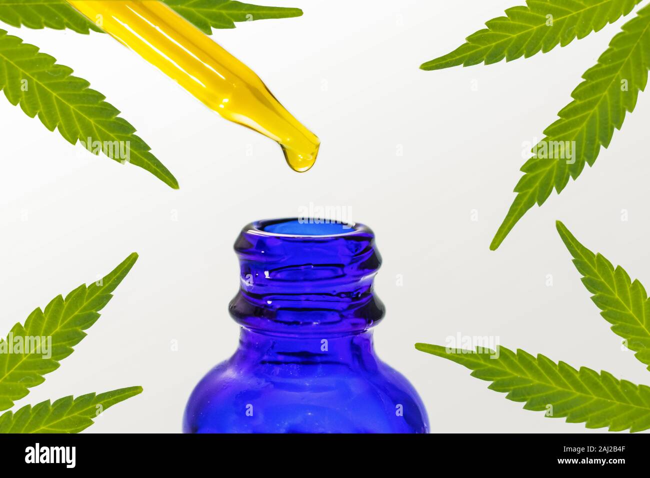 CBD (Cannabidiol) Öltinktur Goldene Flüssigkeit In blauer Flasche & Dropper Mit Hemp Leafs Auf weißem Hintergrund Stockfoto