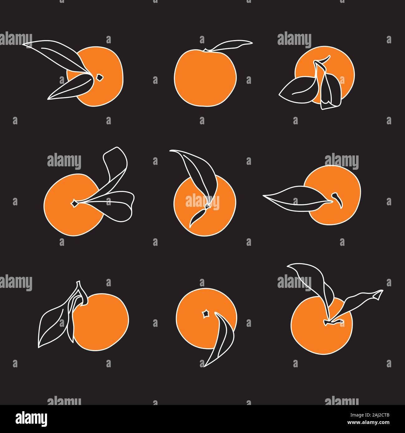 Orange Tangerine Auswahl minimalistischer Vector Designs auf schwarzem Hintergrund Stock Vektor