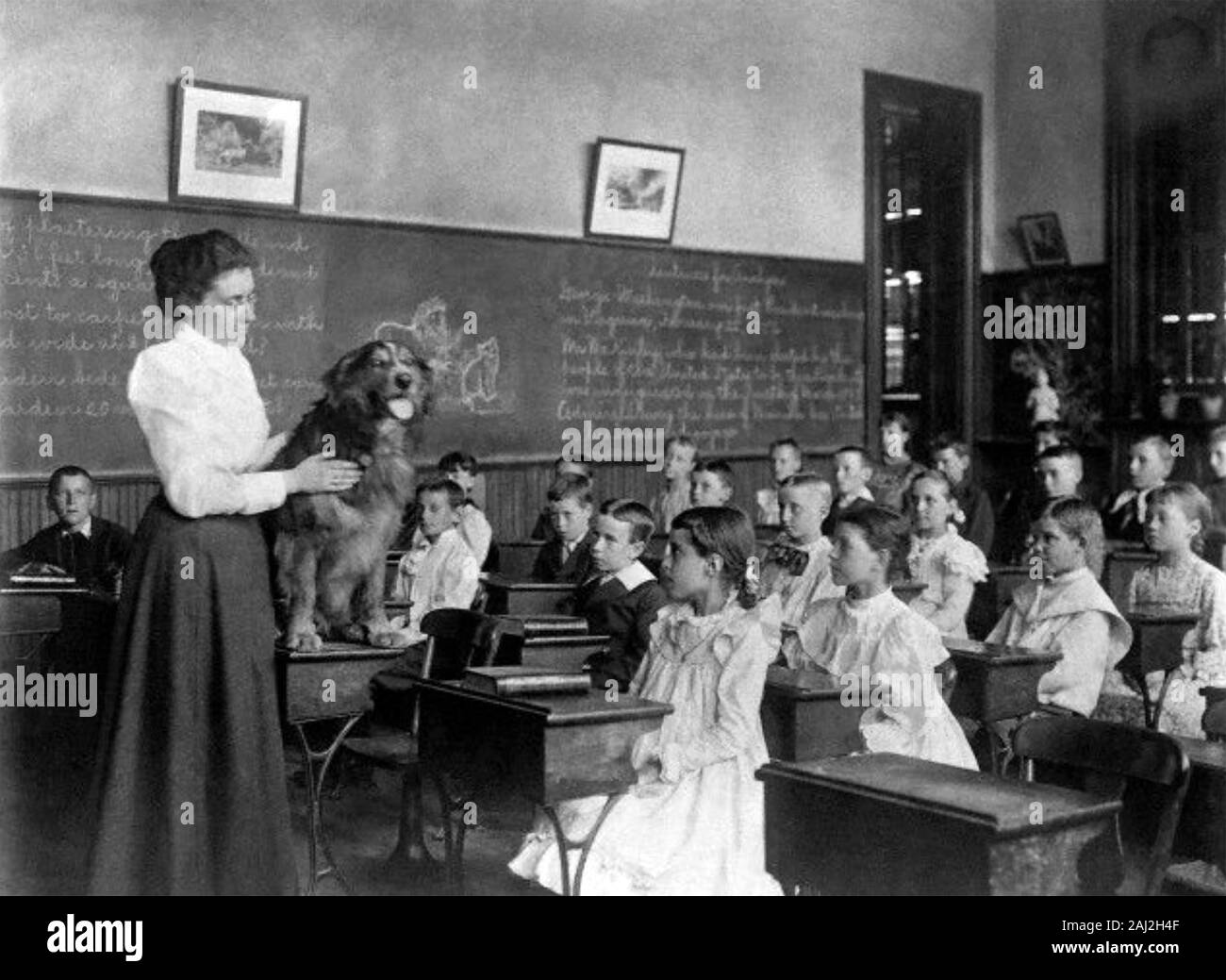 Englisch SCHULE BIOLOGIE Lektion über 1900 Stockfoto