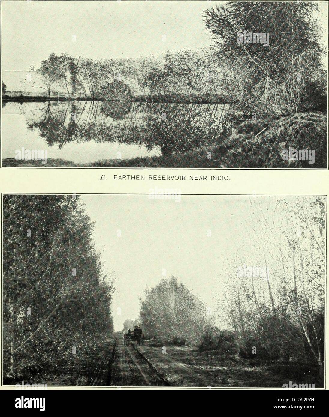 Wasserversorgung und Bewässerung Papiere des United States Geological Survey. A. EINE DESERT HOMESTEAD SÜDLICH VON INDIO.. C. PAPPELN, 2 BIS 4 JAHRE ALT, in der Nähe von COACHELLA, CAL. Zukunft der Wasserversorgung. 37 Boden, über die es fließt, weil, wenn die Strömung von Wasser ist nicht Con-Trolled und richtig verteilt der größere Teil der evapo ist - von der Oberfläche bewertet, wodurch auch die Konzentration ^ alkalithere. Der größte Schaden, jedoch ergibt sich aus dem needlesstax auf der tiefen Becken. Die Versorgung in dieser Region Unbedingt besensitive, weil die Menge jährlich durch Niederschlag issmall hinzugefügt Stockfoto