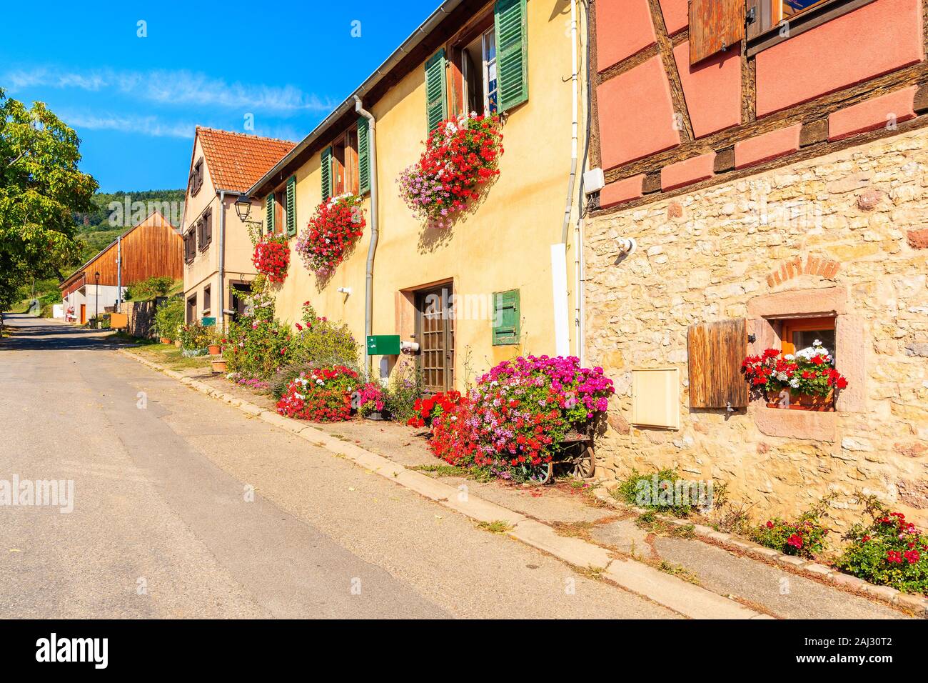 Straße mit traditionellen Häusern im berühmten Hunawihr Dorf, Elsass, Frankreich Stockfoto