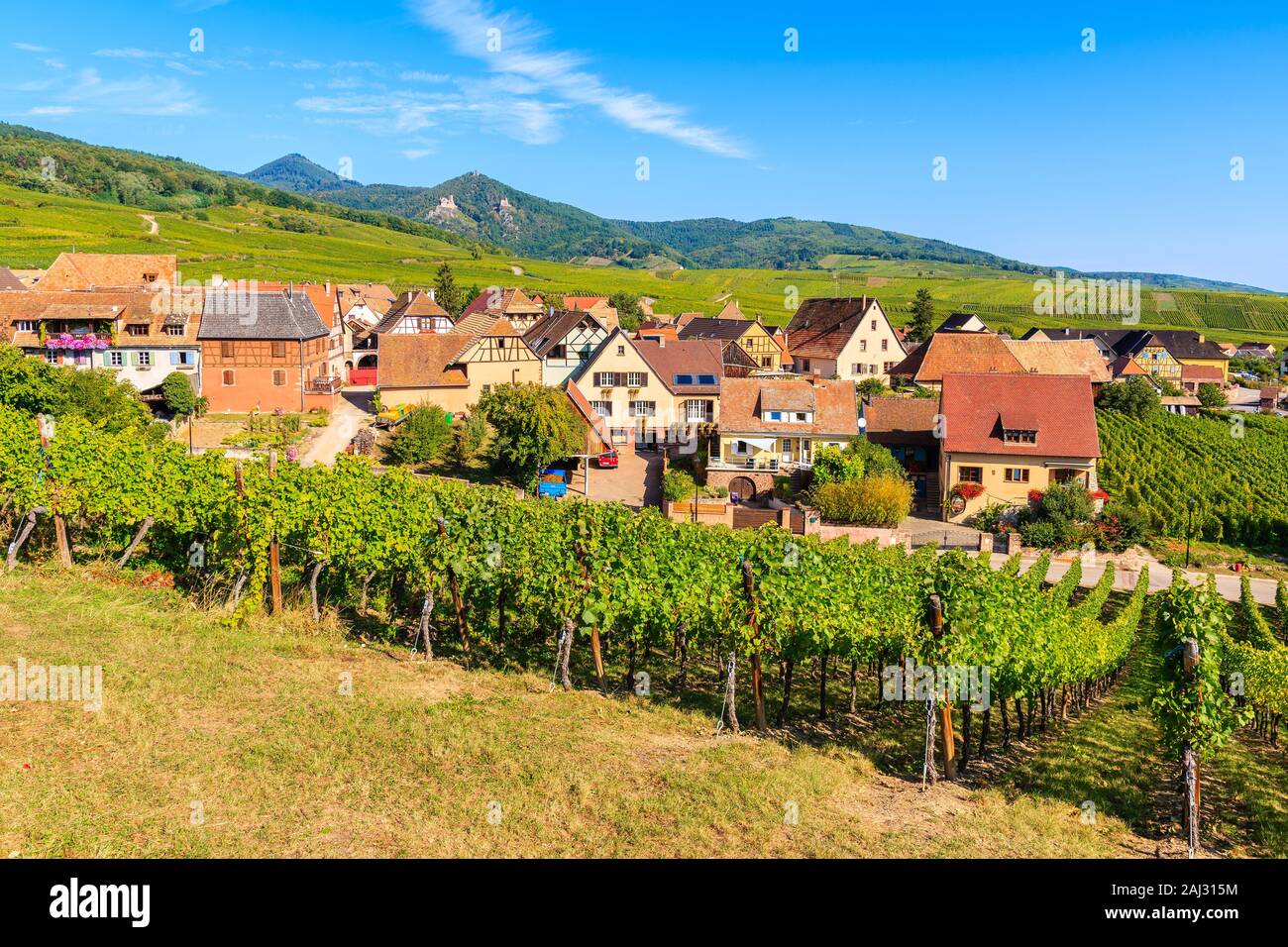 Blick auf berühmte Hunawihr Dorf mit Weinbergen im Vordergrund, Elsass, Frankreich Stockfoto