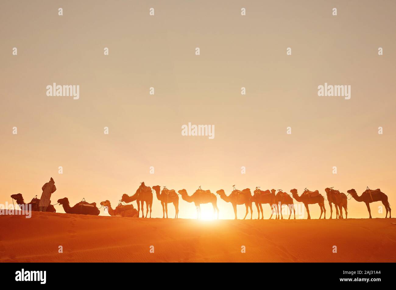 Kamelkarawane durch die Sanddünen in der Wüste Sahara. Marokko, Afrika Stockfoto