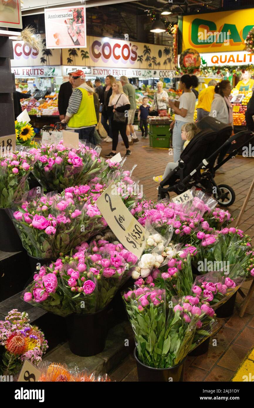 Adelaide Central Market - Blume im Hallenbad Central Market Adelaide, South Australia Abschaltdruck Stockfoto