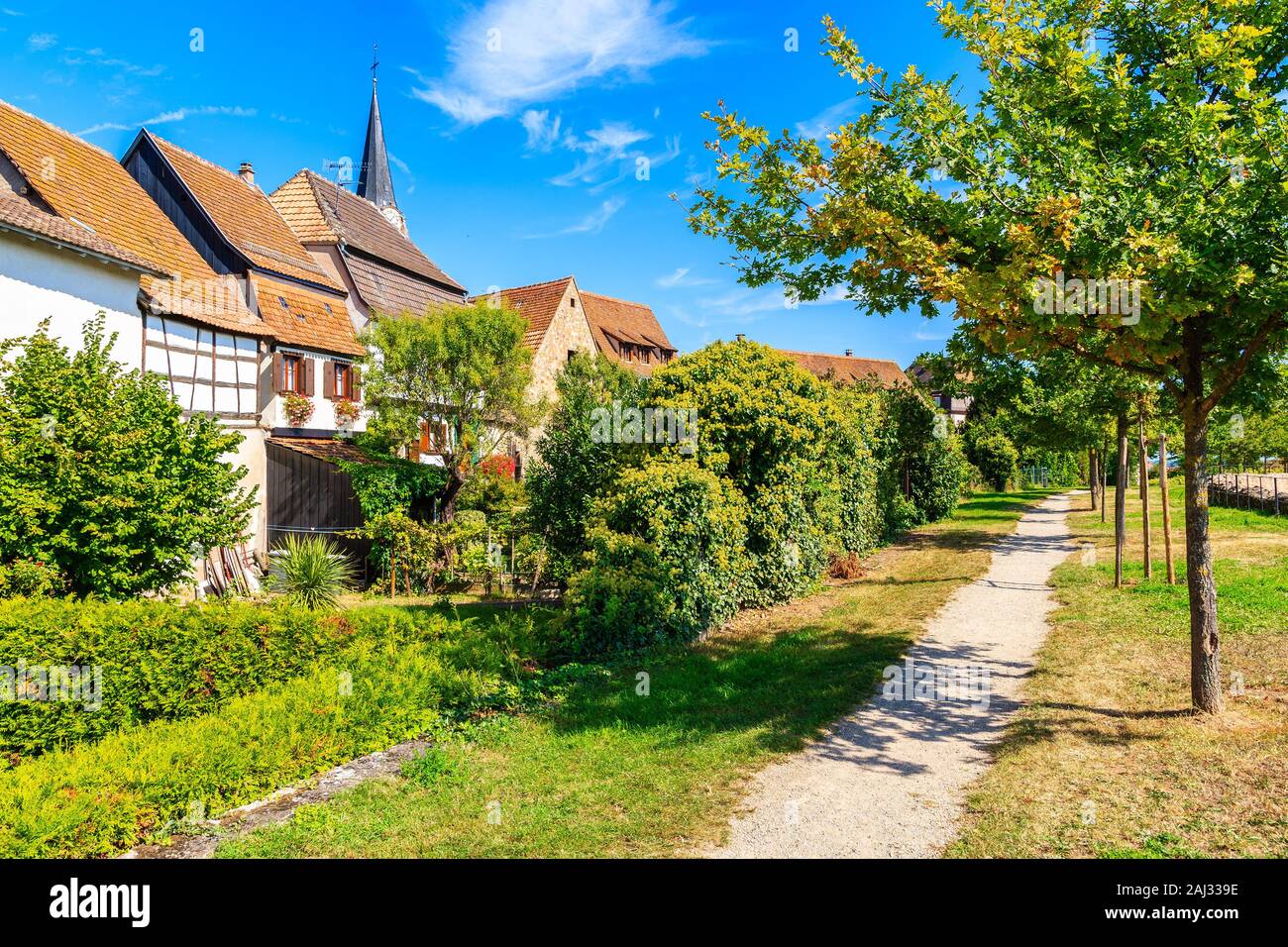 Wanderweg im Park von Kientzheim Dorf auf der elsässischen Weinstraße, Frankreich Stockfoto