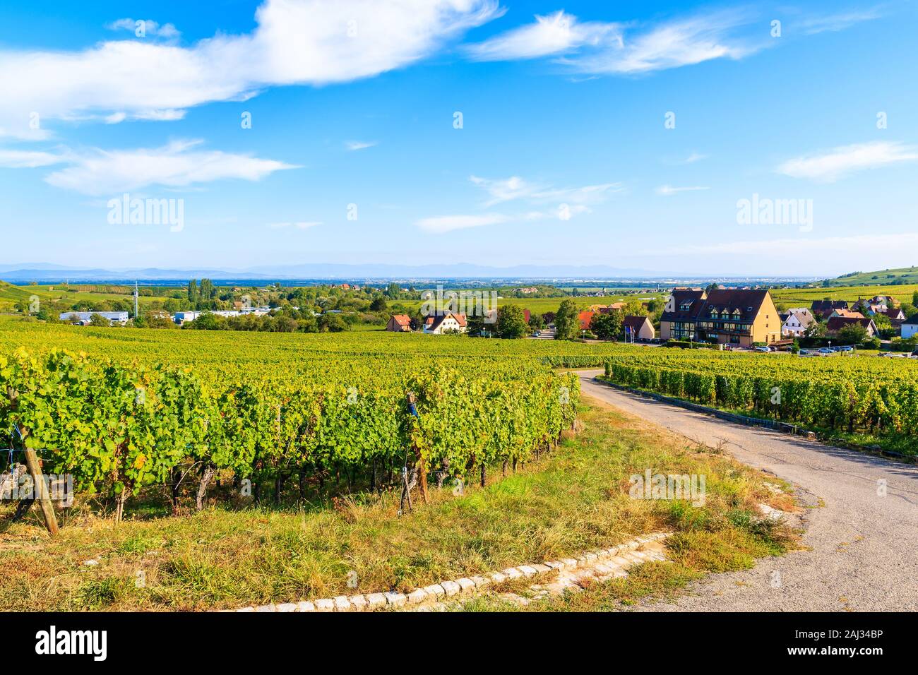 Blick auf die Straße und Weinberge in Riquewihr, Elsass, Frankreich Stockfoto