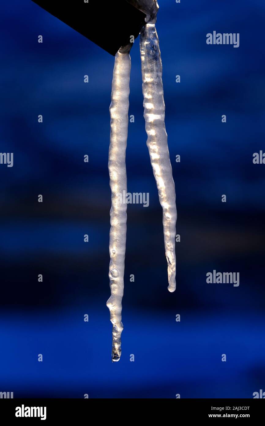 Eiszapfen Eiszapfen hängen auf Holz im Winter kalt Wasser einfrieren eingefroren Stockfoto