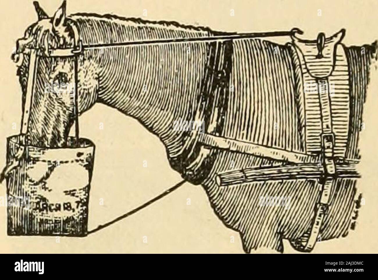 Rasen waren: feine Kabelbaum, Sättel, Trab- und Running Horse Outfits. Einstellbarer Feed Bag. Nr. 539. Nr. 540. Nr. 541. Nr. 540.-Nr. 541. Cribbing Schnauze. Ein sicher präventiv gegen Pferd cribbing die Krippen, und doch so Inge - niously wie errichtet, ihnen zu erlauben, ihre Heu und Getreide mit Leichtigkeit zu essen. Auch auf einem Beißen oder bösartigen Pferd verwendet. Komplett mit Lederriemen Jedes | 2 00 Patent französische Cribbing Gurt. Das Beste in der Welt 7 00 Patent einstellbarer Feed Bag. Automatisch angepasst. Bleibt in Position und ermöglicht das Pferd seinen Kopf zu heben und frei atmen und kann sein Futter 1 nicht verschütten O Stockfoto