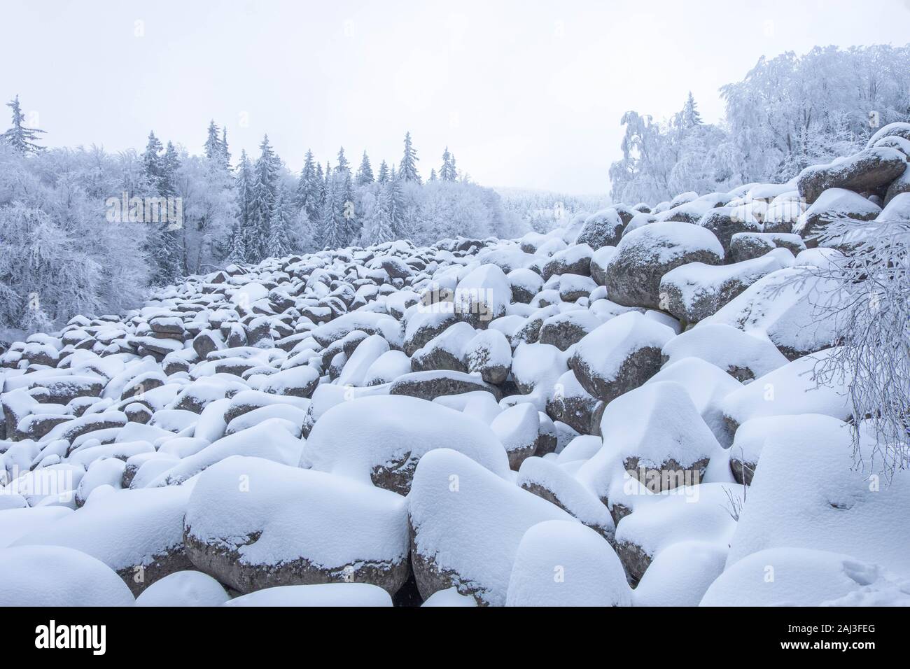 Winterlandschaft mit Stein Fluss in Vitosha Berges in Sofia, Bulgarien Stockfoto