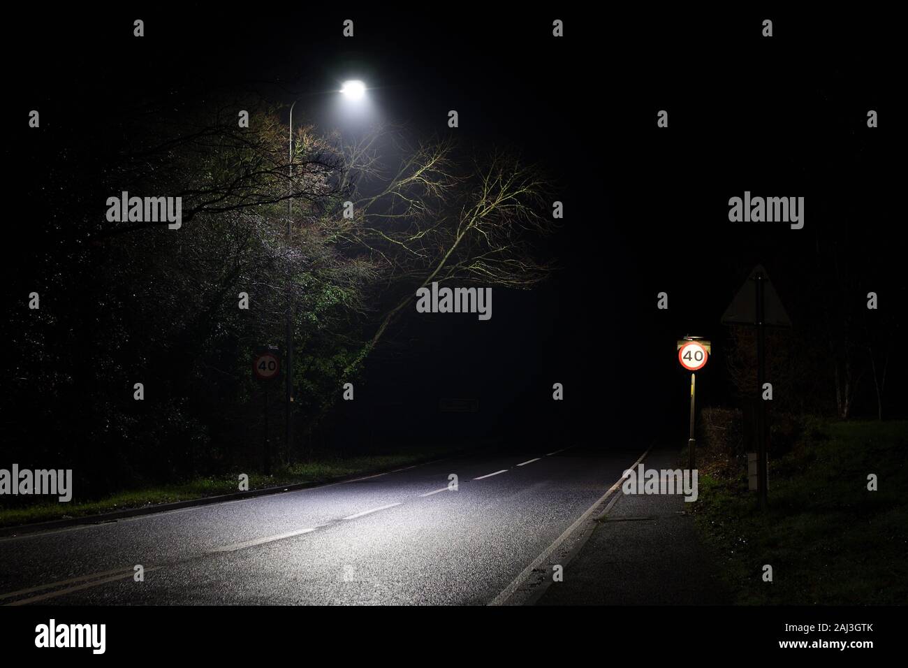 Bäume und 40 mph Höchstgeschwindigkeit Zeichen unter der Straßenlaterne in Großbritannien in der Nacht Stockfoto