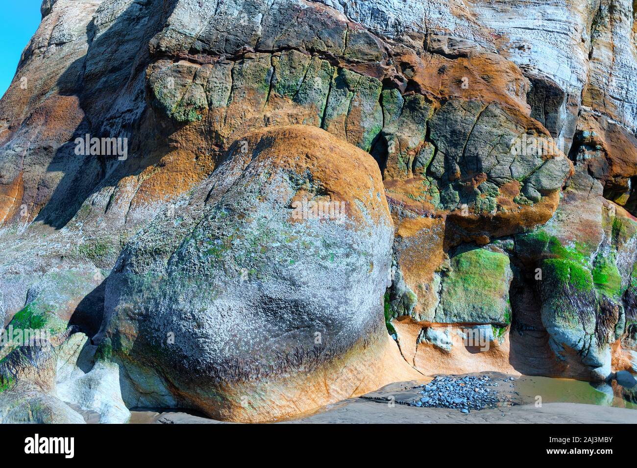 Nahaufnahme von Sandsteinfelsen bei Ebbe an der Küste von Oregon Stockfoto