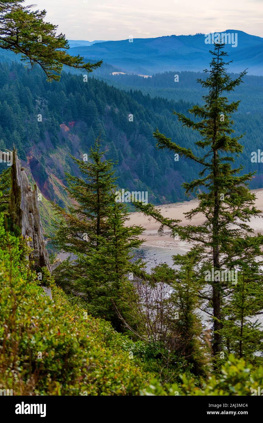 Blick vom Cape Lookout Wanderung an der Küste von Oregon in der Nähe von Dornbirn. Stockfoto