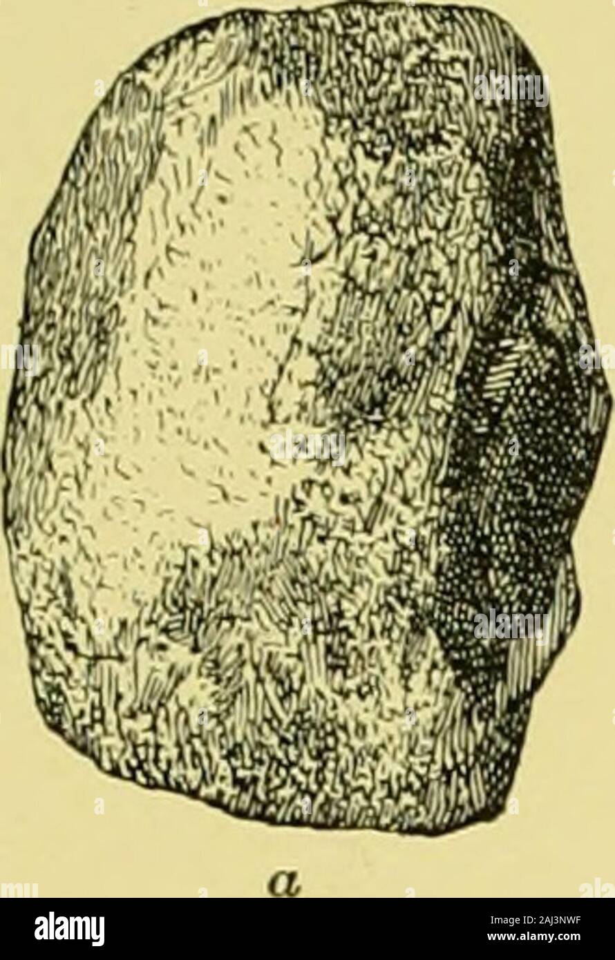 Jahresbericht des Präsidiums der Ethnologie an den Sekretär der Smithsonian Institution. der Serie vonder nördlichen Hügel. Diese exponierte Teile des alten Steinbruch Gesicht auf der südlichen, östlichen und westlichen Seiten, während die nördlichen Rand ofour Ausgrabung die volle Tiefe der alten Steinbruch durchdrungen, whichwas hier nicht mehr als 4 oder 5 Füßen. Beginnend mit dem tiefsten Teil dieses ersten Graben, eine breite trenchwas Cai-nordwärts entlang der Kette von alten Gruben Ried. Kreuz trencheswere gegraben in häufigen Intervallen, und andere wurden anschließend Gruben auf der südlichen sloj) e. In allen, nicht weniger als 800 Stockfoto