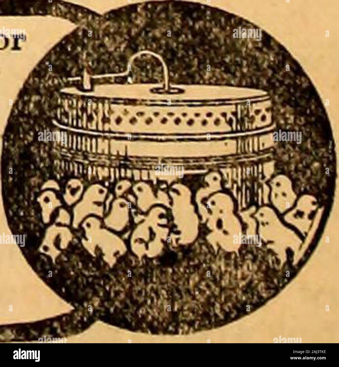 Südliche Pflanzmaschine: Praktische und progressiven Landwirtschaft, Gartenbau, Trucking, live Stock und dem Kamin gewidmet. Komplette 50-Ei alle Metall schlüpfen und brütende Anlage foronly 7,50 $. Tlie nur Maschine hergestellt, der nicht mit dem workin die natürliche Art und Weise. Sobald die Lampe hatchesthe Ei 3 und brütet die Küken METALL Mütter unserer neuen avstem $ 1,00 Brutapparat perfekt funktioniert. Keine Gefahr von Lire, Überhitzung oder kühlen die Hühner. Lassen Sie uns vou über unsere neue Art der Geflügel die größten Gewinne zu erzielen. Katalog kostenlos. Zyklus Hatcher Co., 409 Wm. St., Elmira, N.Y. Zeile rT&gt; Tf* mMunmmmm * ms Stockfoto