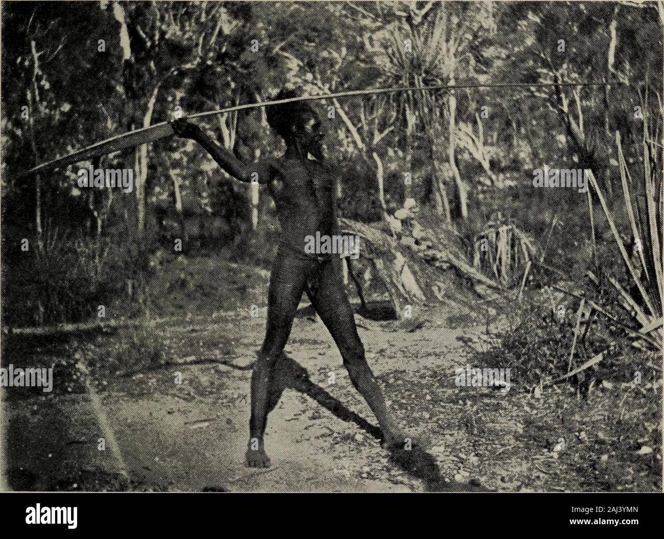 Spear Thrower Stockfotos Und Bilder Kaufen Alamy