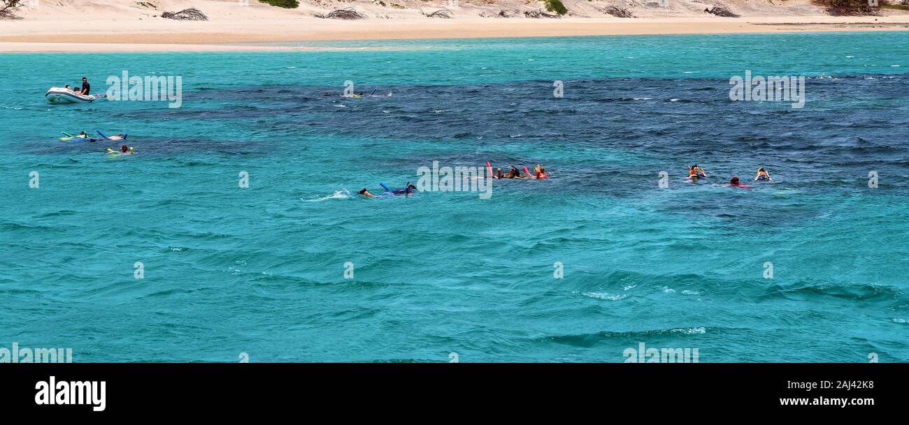 Yeppoon, Queensland, Australien - Dezember 2019: Schnorchler anzeigen Der Underwater Coral Reef in der Nähe von Great Keppel Island am Great Barrier Reef in Australien Stockfoto