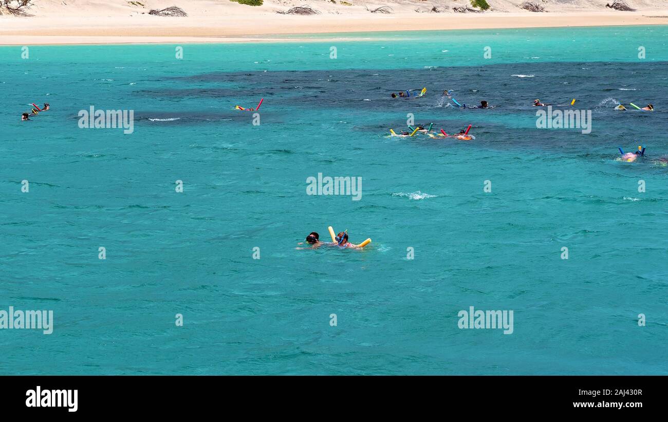 Yeppoon, Queensland, Australien - Dezember 2019: Schnorchler anzeigen Der Underwater Coral Reef in der Nähe von Great Keppel Island am Great Barrier Reef in Australien Stockfoto