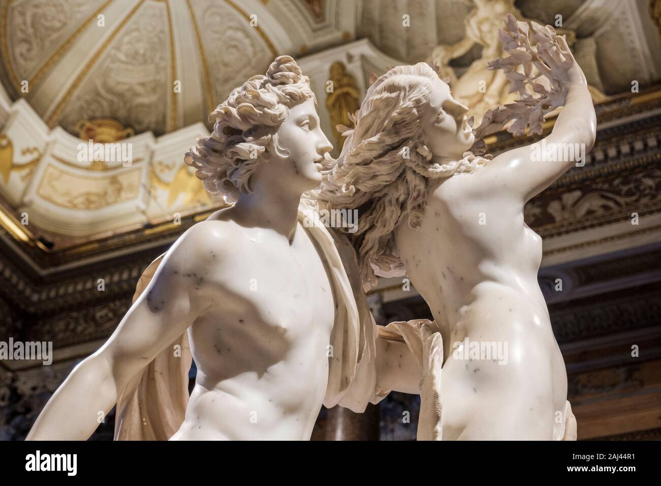 Italienische Kunst, Daphne-Metamorphose, Apollo- und Daphne-Marmorskulptur, Gian Lorenzo Bernini, Galleria Borghese Museum, Villa Borghese, Rom, Italien Stockfoto
