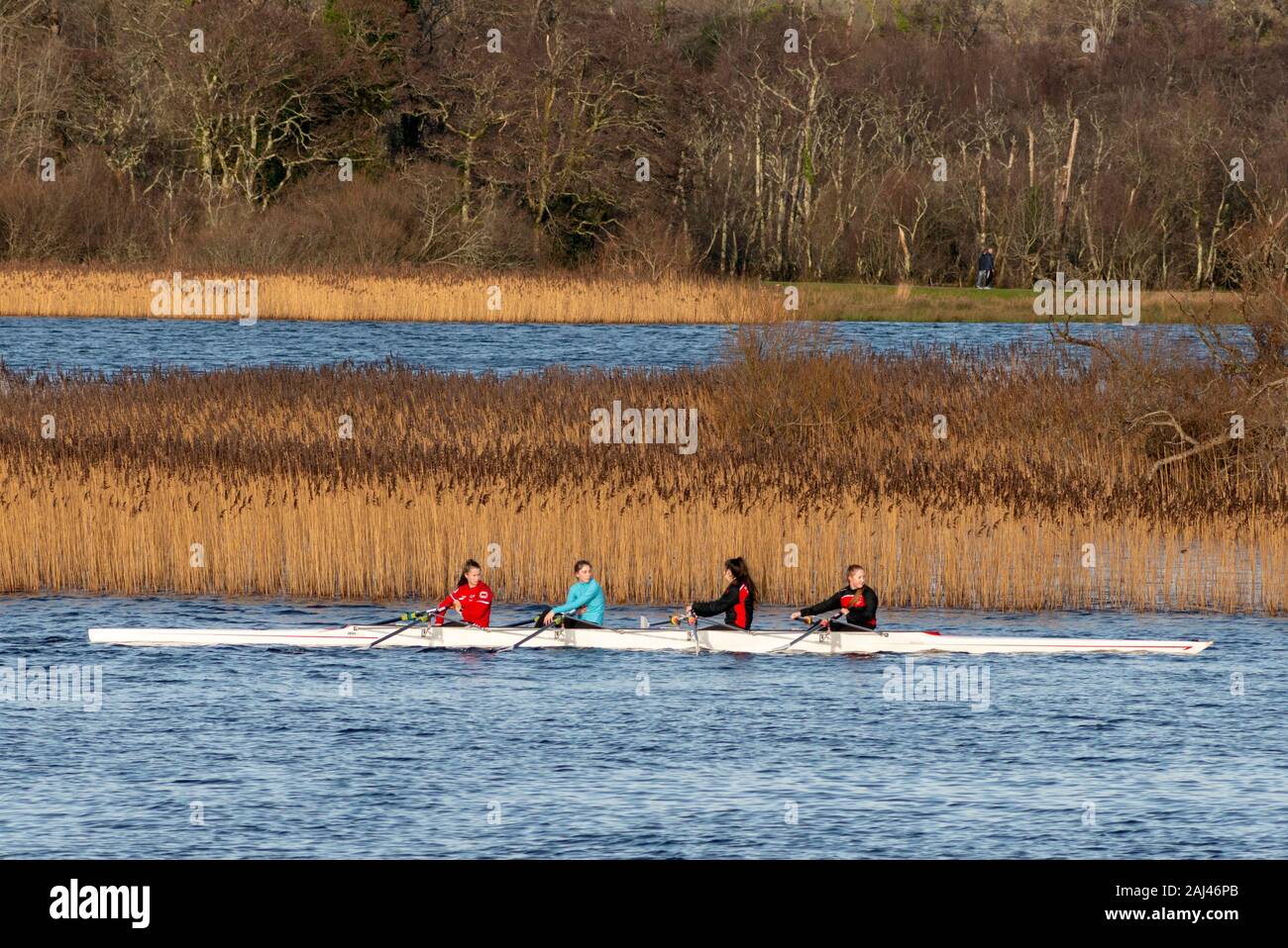 Vier Mädchen im Teenageralter vom Workmen's Rowing Club Killarney im Rennboot auf dem Lough Leane Lake, Killarney National Park, County Kerry, Irland Stockfoto