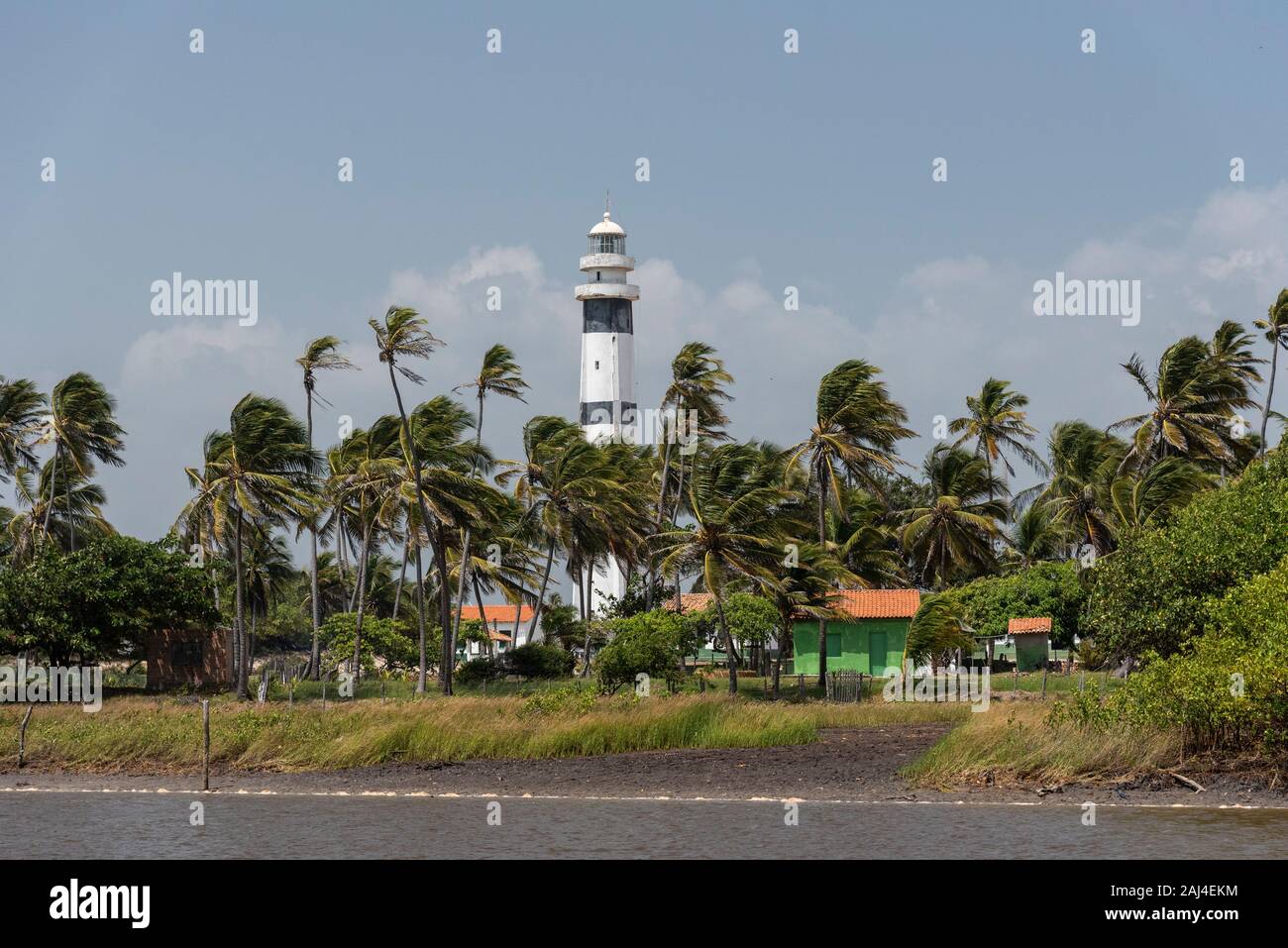 Palmen und weißem und schwarzem Preguiça Leuchtturm in Mandacaru, Maranhão, Brasilien Stockfoto