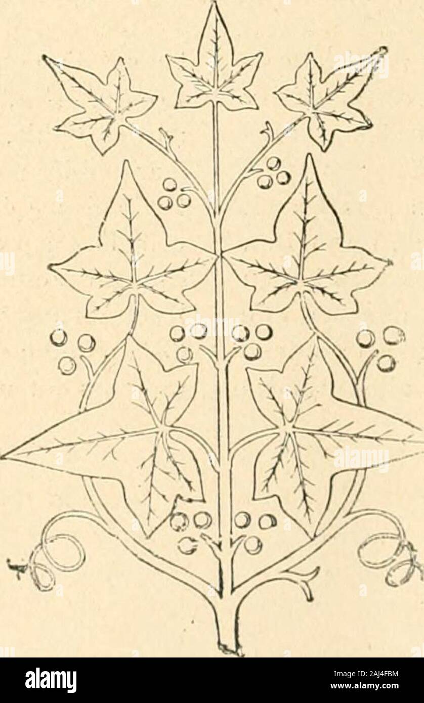 Revue de l'art Chrétien. Erz ina-chevées du nouveau Séminaire. Cette longue lan-terneblech vitrée qui couronne Le Bâtiment à dhabitationsert éclairer le Vide intérieur dun Korridor colos - sal Montant du Sol à la Toiture; avec ses souvrent galeriesen Balcons sur lesquelles Les cellules, ses Ponts de fer établissant des communicationsà des hauteurs Mundharmonika, sous la lumière grisetombant de la Lanterne, Mesz laspect Morne duneprison cellulaire ou Dun entrepôt; il y a là unsérieux administratif industriel qui Glace etattriste. Ah! Comme nos pères savaient faire plusaimables, plus engageants les Lieu Stockfoto