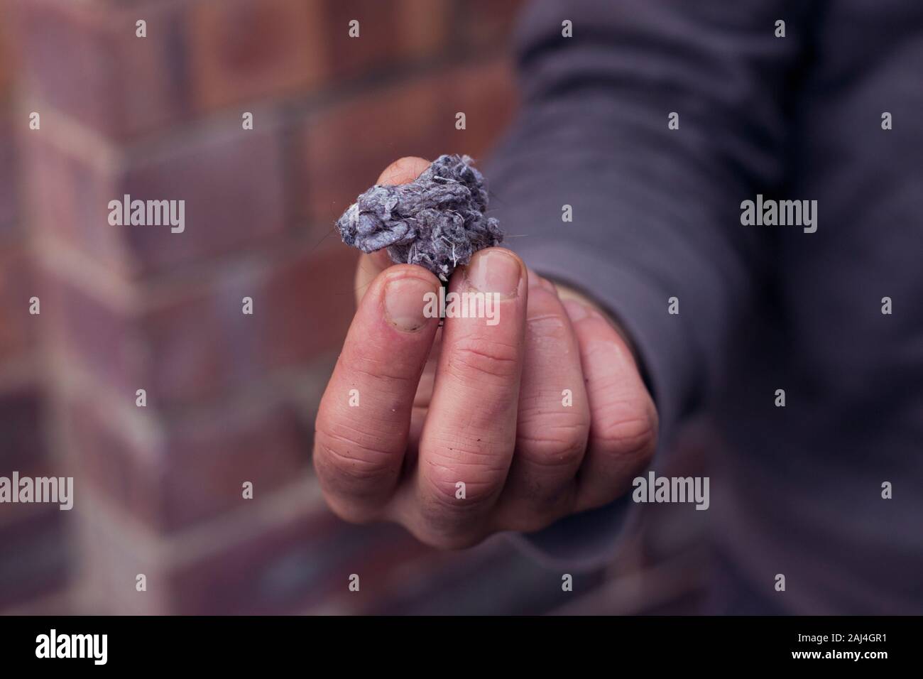 Flusen-/Flusenansammlungen auf Wäsche nach dem Entfernen von Kleidung Trockner auf weißem Hintergrund. Frau & Mann hand Stockfoto