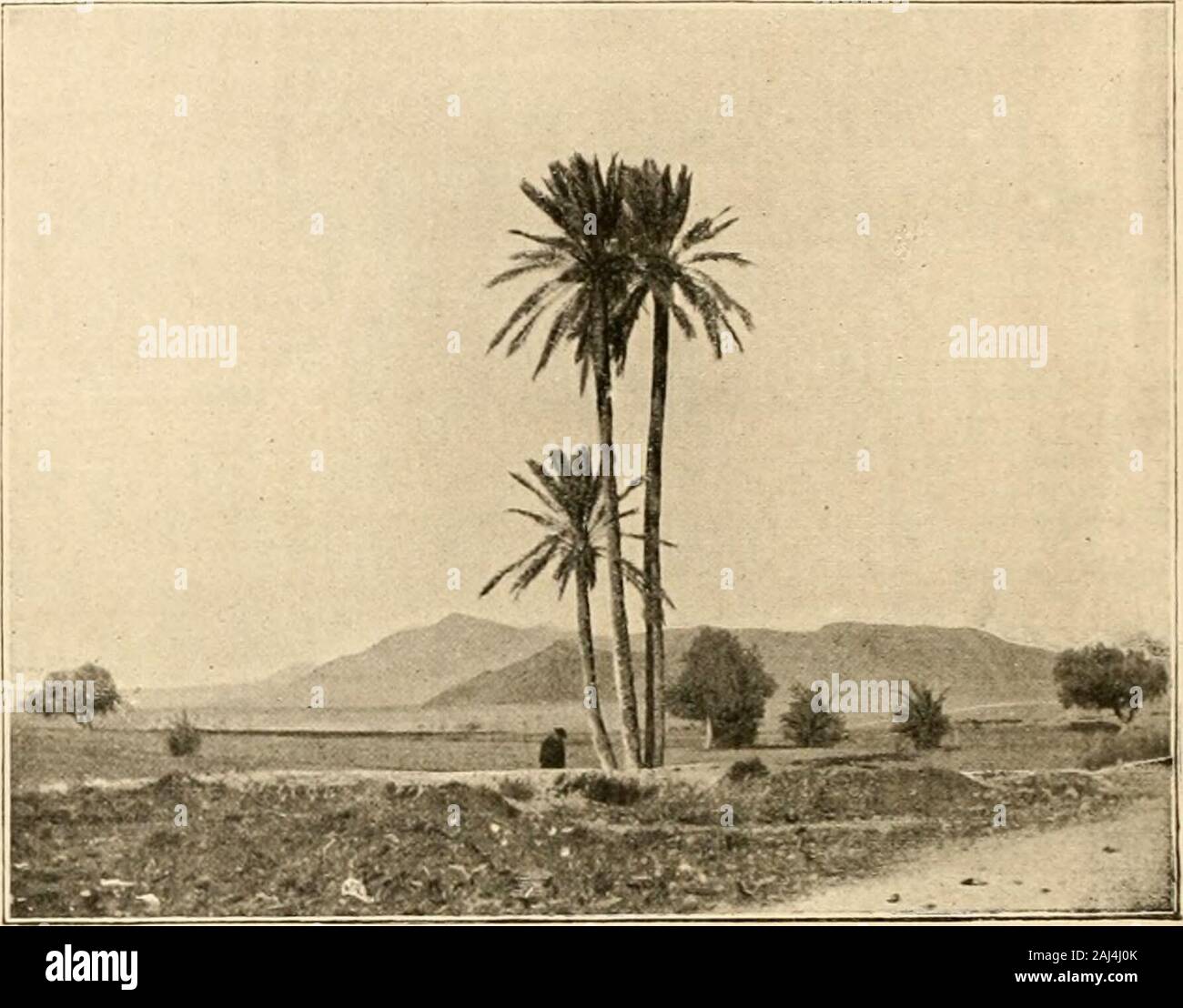 L'Invasion de la Mer. t été dangereux de Conserver dans lescorte. Dautre part, Le Voyageur naurait Pu se remettre en routesans avoir remplacé Les manquants, et, Dans ces Bedingungen, auf leconçoit, il navait pas le Choix. Il crut sêtre cependant Tiré dm-barras en acceptant les Services de plusieurs Touareg, qui Sof-frirent, moyennant Fortes rémunérations, et à sengagèrent lesuivre jusquau terme de Sohn expédition soit à la Côte occidentale, soit à la côte Orientale du Kontinent africain. Kommentar, Tout en gardant certaines défiances contre les Gens 20 LINVASION-DE-LA-MER.de Race Touareg, Cari St Stockfoto