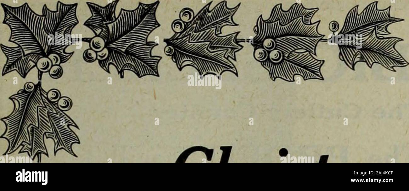 Hardware merchandising September-dezember 1919. von Kanada, Ltd. Gang Ontario Automobil in Leder Roll kanadischen Pflanze des GreenfieldTap und Corporation Dezember 20, 1919 HARDWARE- UND METALL-A dvertising Abschnitt 13 sterben. Stockfoto