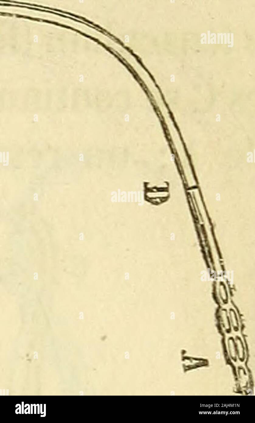 Arsenal de la Chirurgie contemporaine: Beschreibung, Mode d'Emploi et appréciation des appareils et Instrumente en Nutzung pour le Diagnostic et le traitement des maladies chirurgicales, l'orthopédie, La prothése, Les opérations simples, générales, Spéciales et obstétricales. 5-FlG. 1179. - Abraseur mehrere des végétations polypes et du Kehlkopf. Ces deux Plaketten sind percées de trous gruppiert, Dans lesquels sengagentles polypes qui sind sectionnés par le des tranchant Anneaux de Lune desplaques, au Moment où Celle-ci-glisse sur Lautre. Art. III. - Trachéotomie. La trachéotomie se fait, ou Po Stockfoto