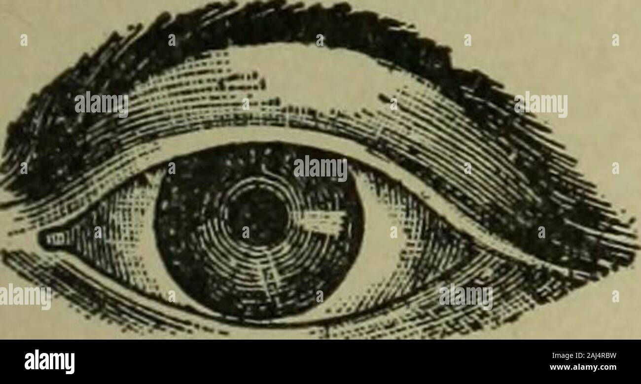 Verzeichnis der Einwohner, Institutionen, verarbeitende Betriebe, Unternehmen, Gesellschaften, usw., usw., die in den Städten Waltham und Watertown. ^^^^ •. oiiS * 1^Optometrist Bürozeiten 8.30 a.m., bis 17 S. m. Mo. Mi. Fr. und Sa. Eva. R.N. WALLINGFORDOptician UND HÄNDLER IN Fotozubehör 2 MOODY STREET WALTHAM Telefon 1200. Augen EXAMINEDOCULISTS REZEPTE GEFÜLLTE JOHN J. EGAN OPTICAL CO OPTIKER Zimmer 6 und 7 Mercantile Building, Waltham, Mass. Elevat&lt;* Bis ich Flug Telefon 1128-M10 WALTHAM and WATERTOWN VERZEICHNIS Waltham Trust Company 5 Moody Street E. S. SANDERSON, Pres Stockfoto