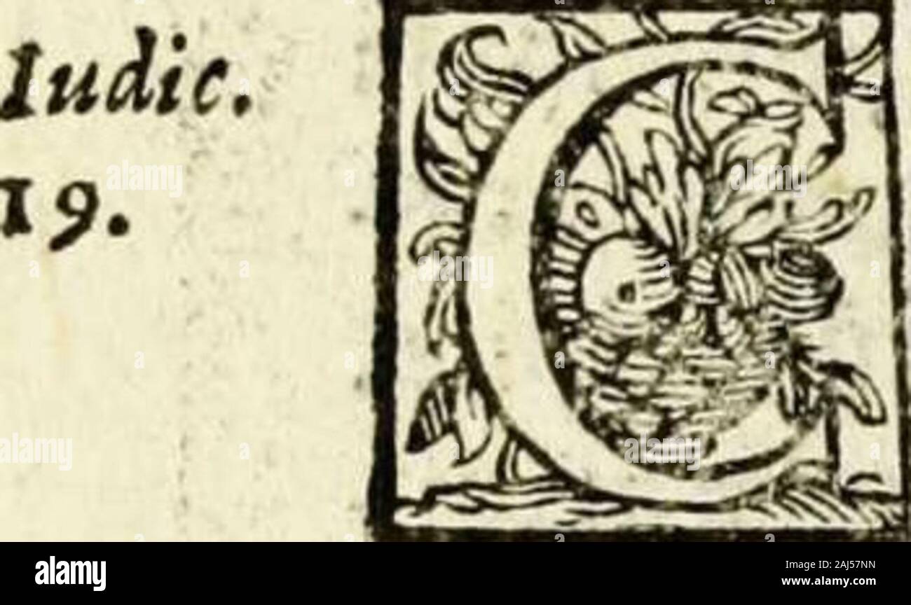 Dominus et deus Fotos und Bildmaterial in hoher Auflösung Alamy