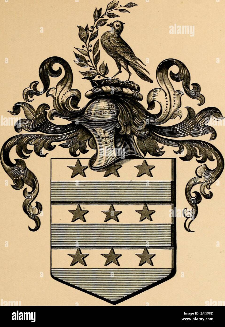 Edward Jessup von West Farmen, Westchester Co., New York und seinen Nachkommen: mit einer Einleitung und einem Anhang, letztere mit Datensätzen von anderen amerikanischen Familien der Name mit einigen zusätzlichen Vereinbarungen. Ihr, William Jes-Sop, der Rothcrham; und das erste Datum, er gibt, ist, dass Der wird von seiner Mutter, was darauf schließen lässt, dass der Vater und der Sohn, sein Vermögen durch die Allianz mit Reduktionin der Erbin übertroffen hatte. Stammbaum UND GESCHICHTE DER JESSOPS OFBROOM HALLE. I. William Jessop, von Rotherham, m. Emotte, Dau, von John Charles - Wert, der Treeton, Esq. Sie wird vom 10. Februar, 1569; erwiesen Stockfoto