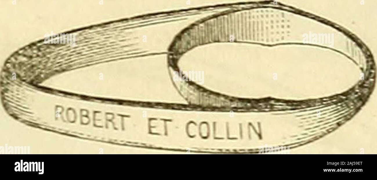 Arsenal de la Chirurgie contemporaine: Beschreibung, Mode d'Emploi et appréciation des appareils et Instrumente en Nutzung pour le Diagnostic et le traitement des maladies chirurgicales, l'orthopédie, La prothése, Les opérations simples, générales, Spéciales et obstétricales. rès-Limitée. H. Larrey eine corrigé Ces deux par Deux lesremplaçant défauts en Plaques dacier garnies de deux Plaketten divoire Qua - drillé (Abb. 1078); ces Plaketten sind plus larges Et plus que Celles dumodèle précédent zerkleinert. § 2. - Spéculums Oris. Le aber Auftraggeber des spéculums Oris est de maintenir la bouche ouverte à un de Stockfoto