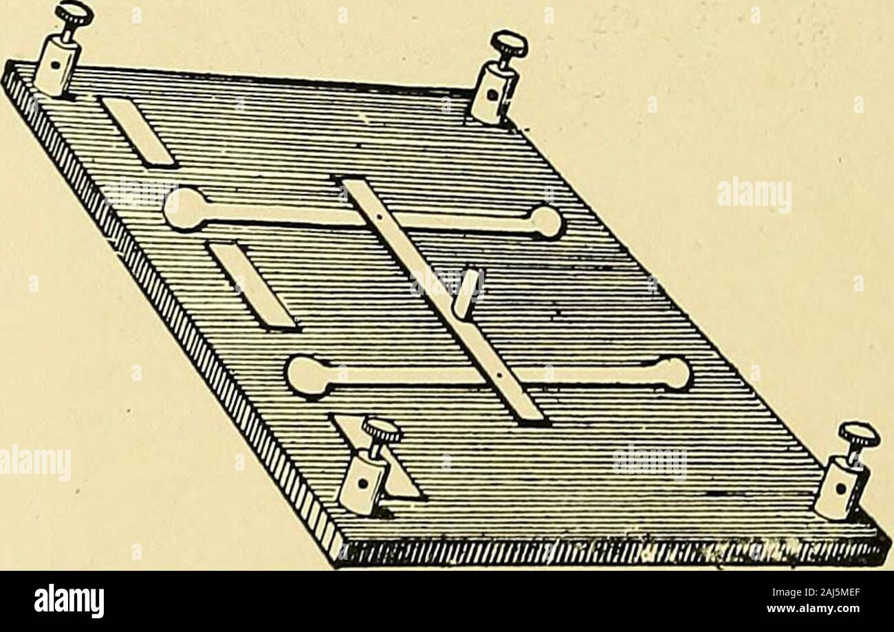 Ein Handbuch der praktischen medizinischen Elektrizität: Der Röntgen strahlen und Finsen Licht. Abb. 50.- Verbindungen der doppelten Sammler. ein Schlüssel für die Umkehrung der Pole. Die übliche moderne Form aus einem geeigneten Rahmen hält drei Messingplatten oder Zapfen (Abbn. 51 und 52), an der zwei Messing Waffen hergestellt werden kann. Abb. 51. - aktuelle Reversiereinrichtung. zu schieben, und die sind in einem solchen Abstand von einander durch eine nicht feste-Leiter als zu ihrer Herstellung Zubehör 97 Kontakt mit den mittleren Bolzen und entweder W. oder N. Thearms ermöglichen werden von den Drehzapfen auf dem Sie mitdem drehen Sie zwei Klemmen der Batterie-Box angeschlossen. Th Stockfoto