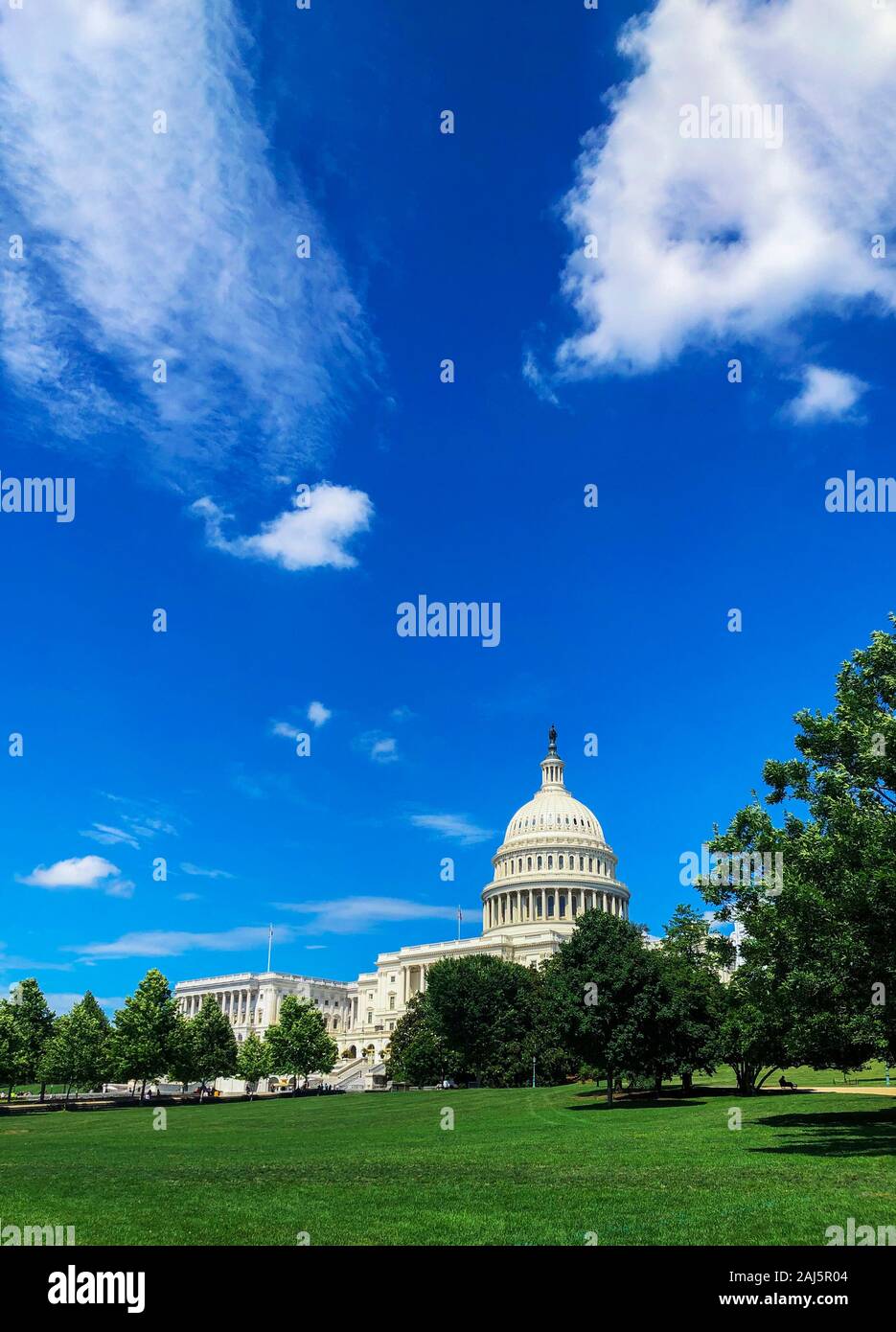United States Capitol Gebäude mit Gras und blauer Himmel. Stockfoto