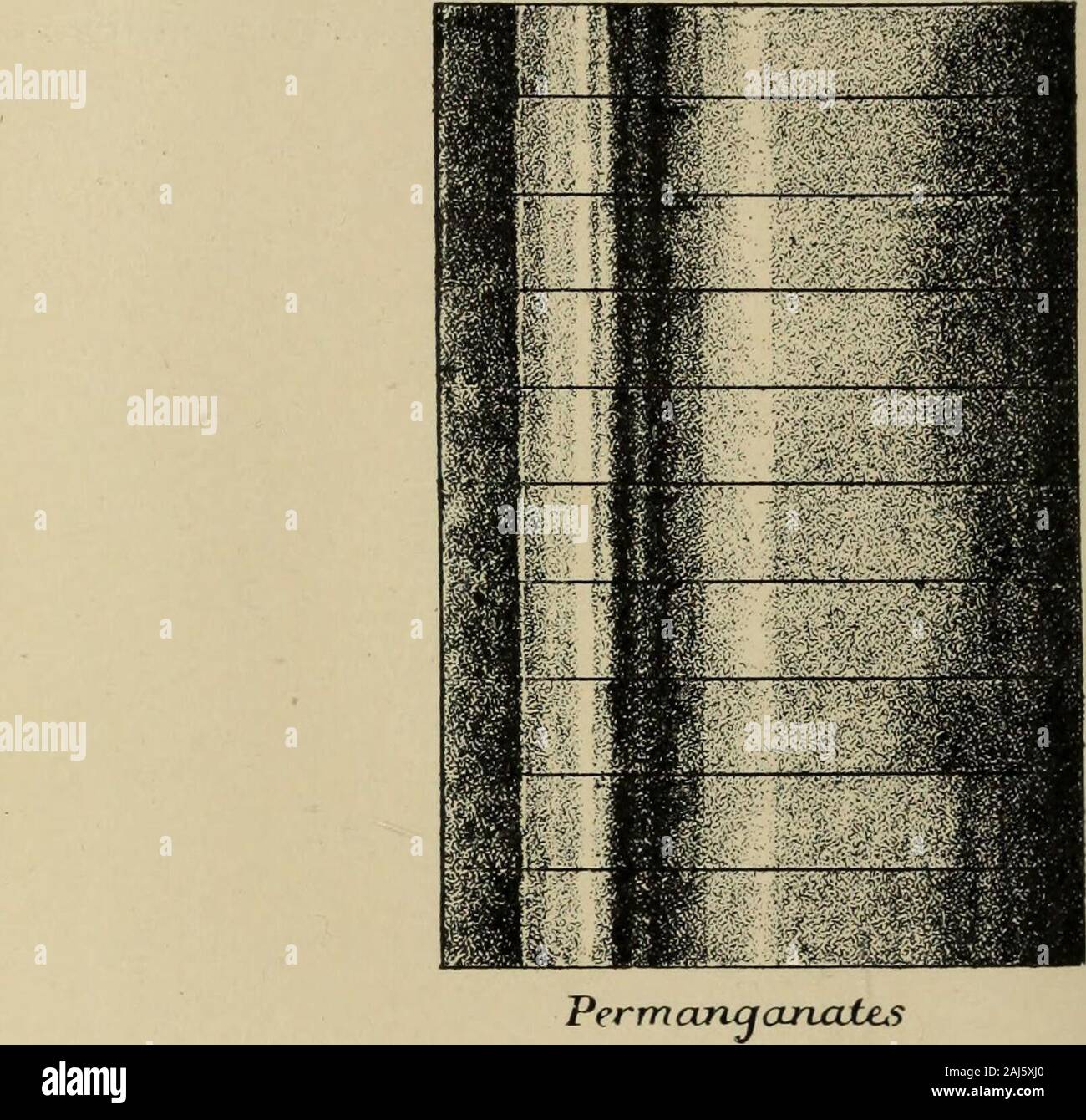 Die Bekanntmachungen der Verfahren in den Sitzungen der Mitglieder der Royal Institution von Großbritannien mit Abstracts der Diskurse. n Die ersten Momente eine littleexcess von Chlor das Wasser tritt. Durch diese das Wasser ist chargednegatively, und die Lösung unter es positiv, so dass die Natrium Lithium Cadmium Ammonium Kalium Zink Nickel MagnesiumCopperHydrogenAluminum Abb. 8. die Ionen aus der Lösung mit einer größeren Kraft getrieben, als ich thechlorine Ionen. Sobald die Kraft ist 1 * 4 mal größer als das, das Chlor Ionen reisen nur so langsam wie die natriumionen. Es ist notdifficult Stockfoto