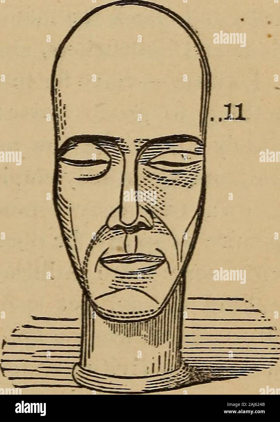 Die praktischen phrenologist und Recorder und delineator der Charakter und die Talente der [Leerzeichen], [blank] markiert: ein Kompendium von phreno-organischen Wissenschaft. STo. 152. - Wm. Teller, Tjhef andmukdfrer. Nr. 153. - Herr Gosse - gab aw. Zwei Vermögen. Der Kaufmann. - Wirtschaft; Genügsamkeit; Die acquiringlaving und Stillegung Instinkt; Festlegung auf einen Überschuss, und erlauben - 94 ANALYSE DER PHRENOLOGICAL FAKULTÄTEN. nig nichts verschwendet werden; Wunsch zu besitzen und eigene; theniine-und-lhine Gefühl; Inanspruchnahme der eigenen Dinge; Liebe oftrading und anhäufen. Mans angepasst, der Lay-up ing Die necessarie Stockfoto