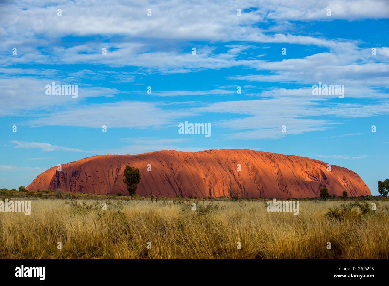 Uluru Stockfoto