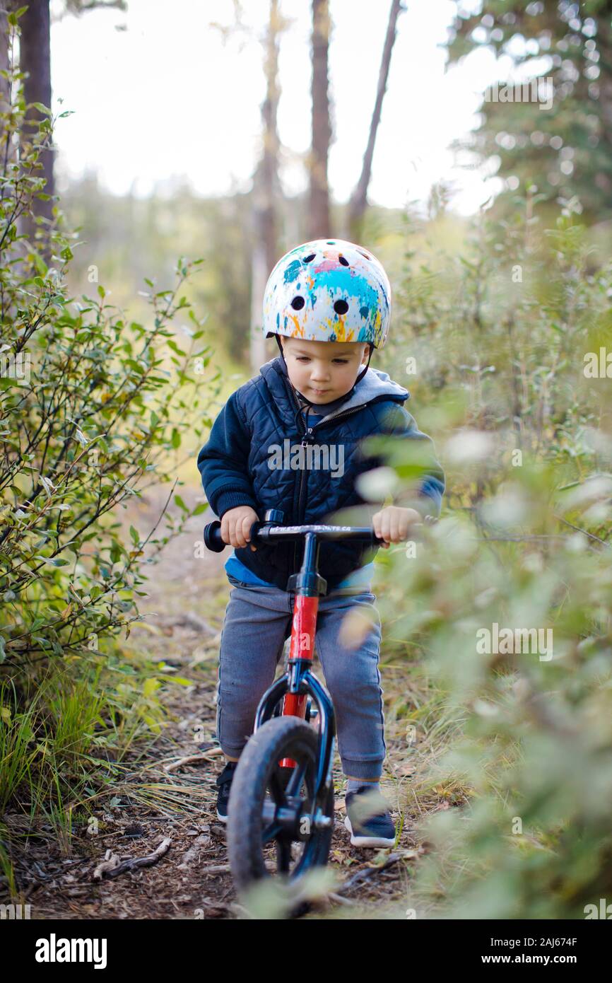 Junge Reiten Fahrrad durch den Wald. Stockfoto