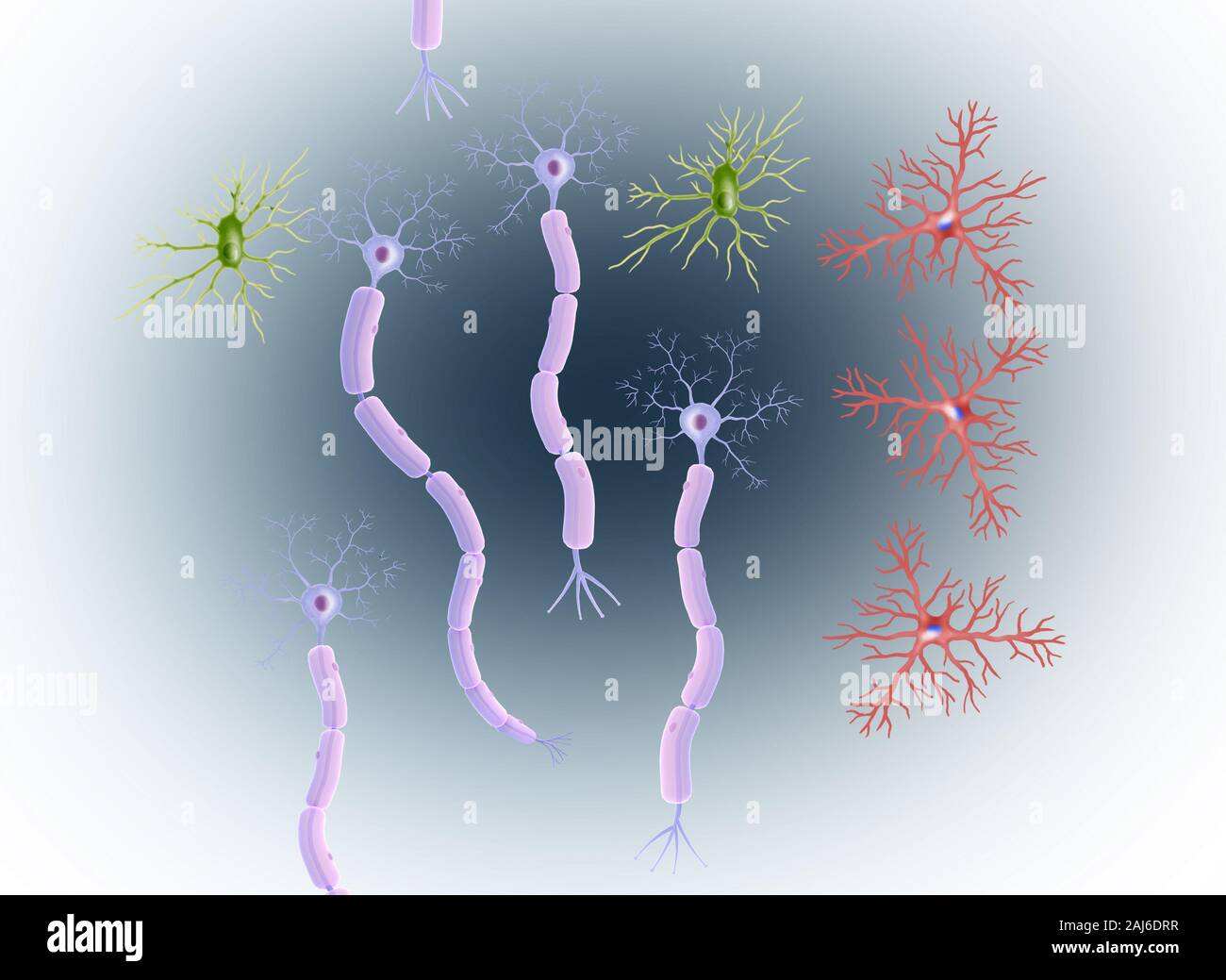 Neuronale Zellen digitale Illustration Stockfoto