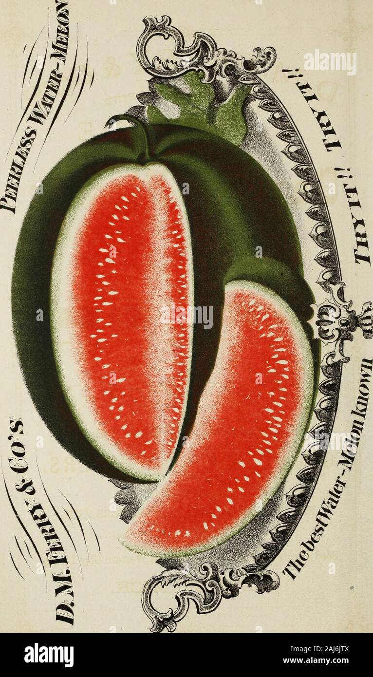 D M Fähre & Co den Samen Jahresbericht 1875. arsnep 62 Petersilie 63 Erbsen 68 Pepper C 6 Kürbis 67 Radieschen 67 Rhabarber 69 Schwarzwurzeln 70 Spinage 70 Squash 71 Tomate 73 Tabak 75 Rübe 76 Kräuter 80 Grassamen 85 Verschiedenes Bauernhof Samen 87 Das Flower Garden 89 Aussaat und Pflege der Blumen Samen, 92 Jahrbücher 93 Biennalen und Stauden 93 Designs für Blumenbeete 94 Bedingungen für Flov/er Samen 95-96 Blumen Samen Katalog 97 Blumen blühen erste Saison. . 181-186 Blumen blühen zweite Jahreszeit. 186-187 Ornamental Gras, Laub Pflanzen. 187-188 Zierpflanzen Bergsteiger 188 ewigen Fluss ^er Samen 189 Samen für Grün Stockfoto