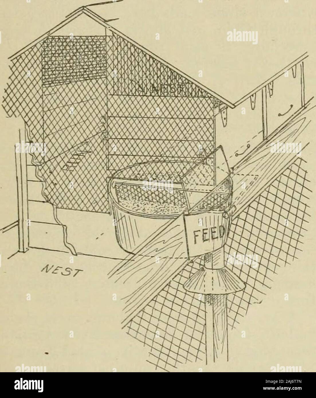 Nachlese in Biene Kultur. nk, Sand, Muscheln, etc., wie alle anderen. Jeder Hof isexactly wie jeder andere Hof. Wenn dieses henAvants auf einem bestimmten Nest in oneyard zu sitzen, geben Sie einfach eine Einstellung der Eier im selben Nest in einem leerstehenden yaixl. Wenn Sie auf dem Nest notstay Avhen sie setzte sie es, egal. Sie wird bald gehen sie nach rechts zurück Toit, denn es ist genau wie das Nest whichshe wollten in den anderen Hof zu sitzen. Intliis Weise können Sie eine beliebige Anzahl von Sitzen - die Hühner in einem Aacant yard setzen kann. Oder wenn Es arehalf ein Dutzend von ihnen, sich eine zweite yardfor sitzen Hühner. Sie werden bemerken, dass er thesitting Stockfoto