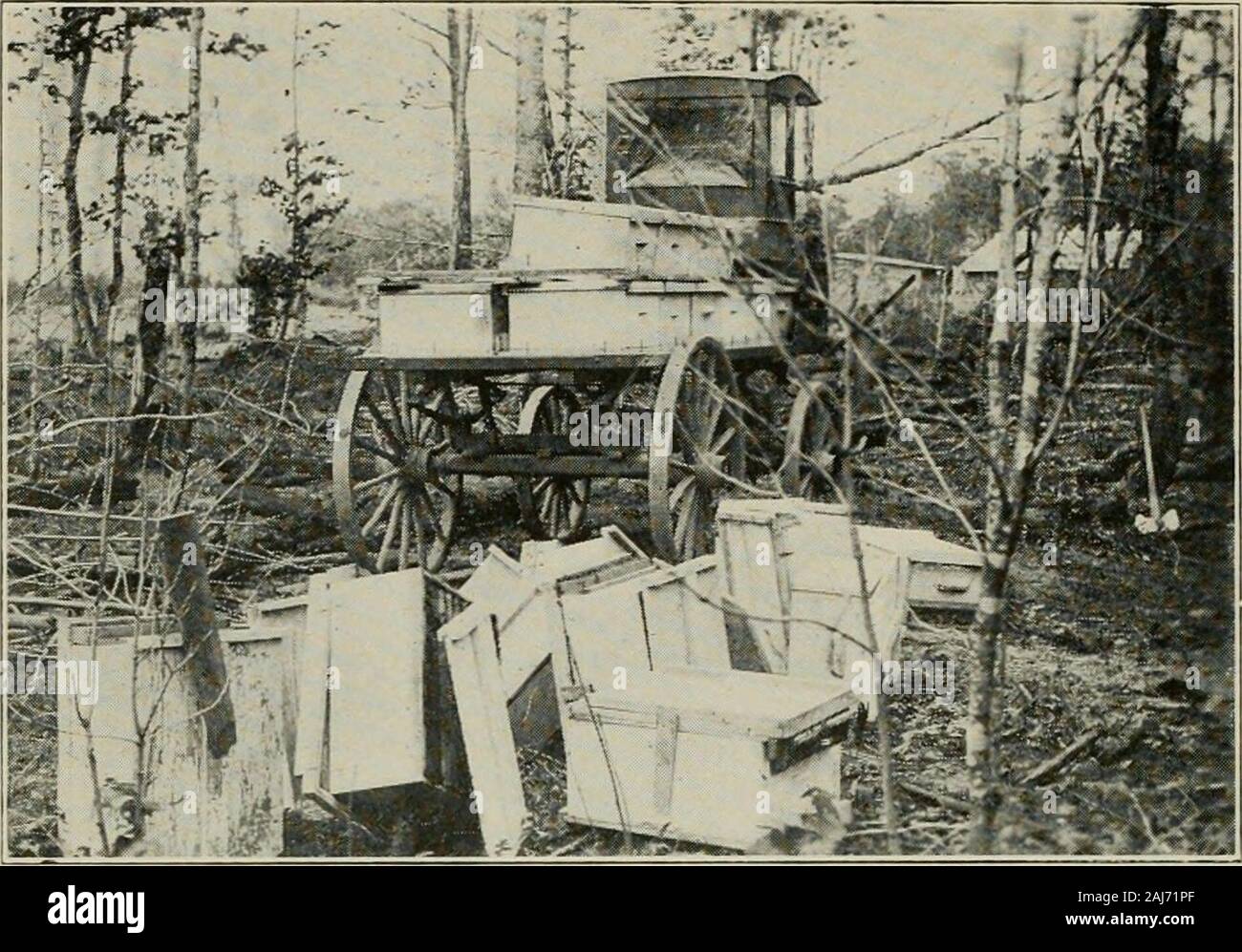 Nachlese in Biene Kultur. Abb. 3.- Kiikpatricks wagen, vor allem für die Bienen gebaut. Nachlese IN BIENE KULTUR. Abb. J.-Elf Kolonien durch Unfall kippte mehr als 1800 oder 2090 lbs extrahiert wird Inone Tag, die eappings möglicherweise entladen über niglitand Schmelzen beginnen am nächsten Morgen. Ich mag das Schmelzgerät, denn während es dient in erster Linie als nncapi ing-Box und Abfluss - äh, heraus zu erhalten, wie viel von der Honig un-wie beheizte in der Zeit allowedfor entleeren, die auf die längeder Box und die Schnelligkeit der Extrahieren hängt ablaufen kann, gibt es keine zusätzlichen Geräte erforderlich zum Schmelzen, und keine Hand-li Stockfoto