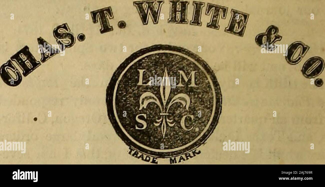 Der Arzt und pharmaceutist. HAGEKTY BROTHERS & Co., Hersteller, Importeure und Händler und inDRUGGISTS FEllFUMERS * Flint und grünem Glas Ware, DROGISTEN VERBRAUCHSMATERIALIEN & FANCY WAREN, Nein". 7, 8, 10, 11 & 13 Jlatt St., Büro Mitte Probe Zimmer, Nr. 10.) NEW YORK. Apothecaries speichert Beschriftet tbronghont im besten Min-Ners, und furnlBhed mit evei - ything erforderlich für buhmega. Private Monldii auf Bestellung gefertigt und besonders besucht.. SUGOESSOES TOL. MARTIN & Co., Herstellung von Chemikern, 29 LIBERTY STREET & 54 Maiden Lane, NEW YORK. Die Aufmerksamkeit der sorgfältigen Spender ist auf ihre OBpeoinUy genannt Stockfoto