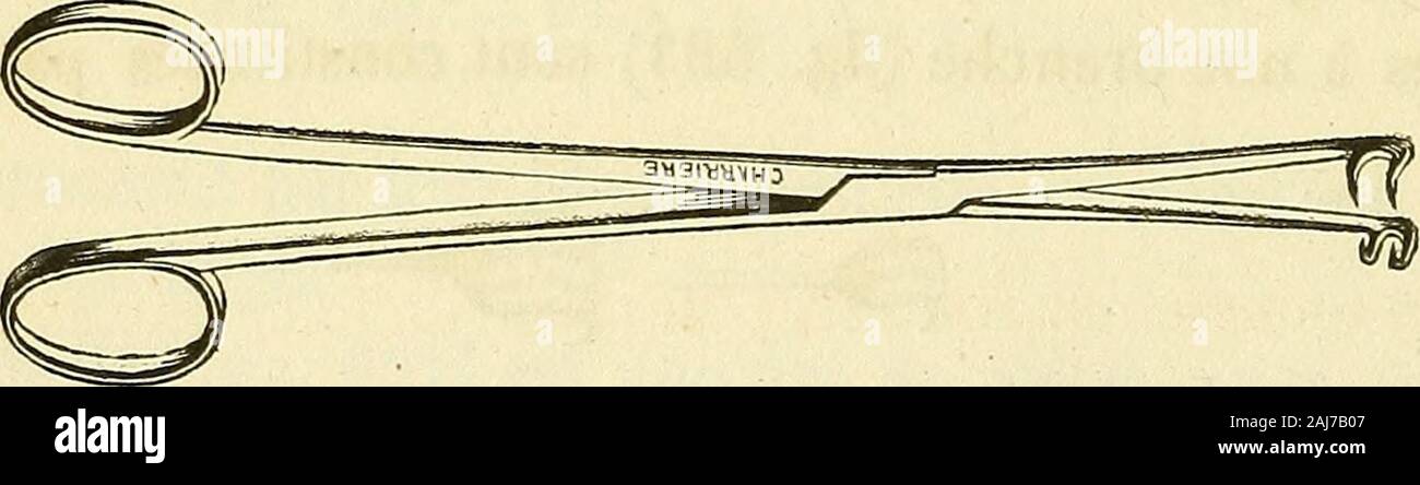 Arsenal de la Chirurgie contemporaine: Beschreibung, Mode d'Emploi et appréciation des appareils et Instrumente en Nutzung pour le Diagnostic et le traitement des maladies chirurgicales, l'orthopédie, La prothése, Les opérations simples, générales, Spéciales et obstétricales. Abb. 685. - Pinces de Museux munie Dune crémaillère. Museux une crémaillère située entre ses deux Zweige, afin de maintenir pouvoirles à un degré de Annäherung permanente, sans continuer depresser Les anneaux. La Crémaillère est disposée de telle Sorte Quelle nepuisse deffet utile sans avoir la volonté du Chirurgien. Stockfoto