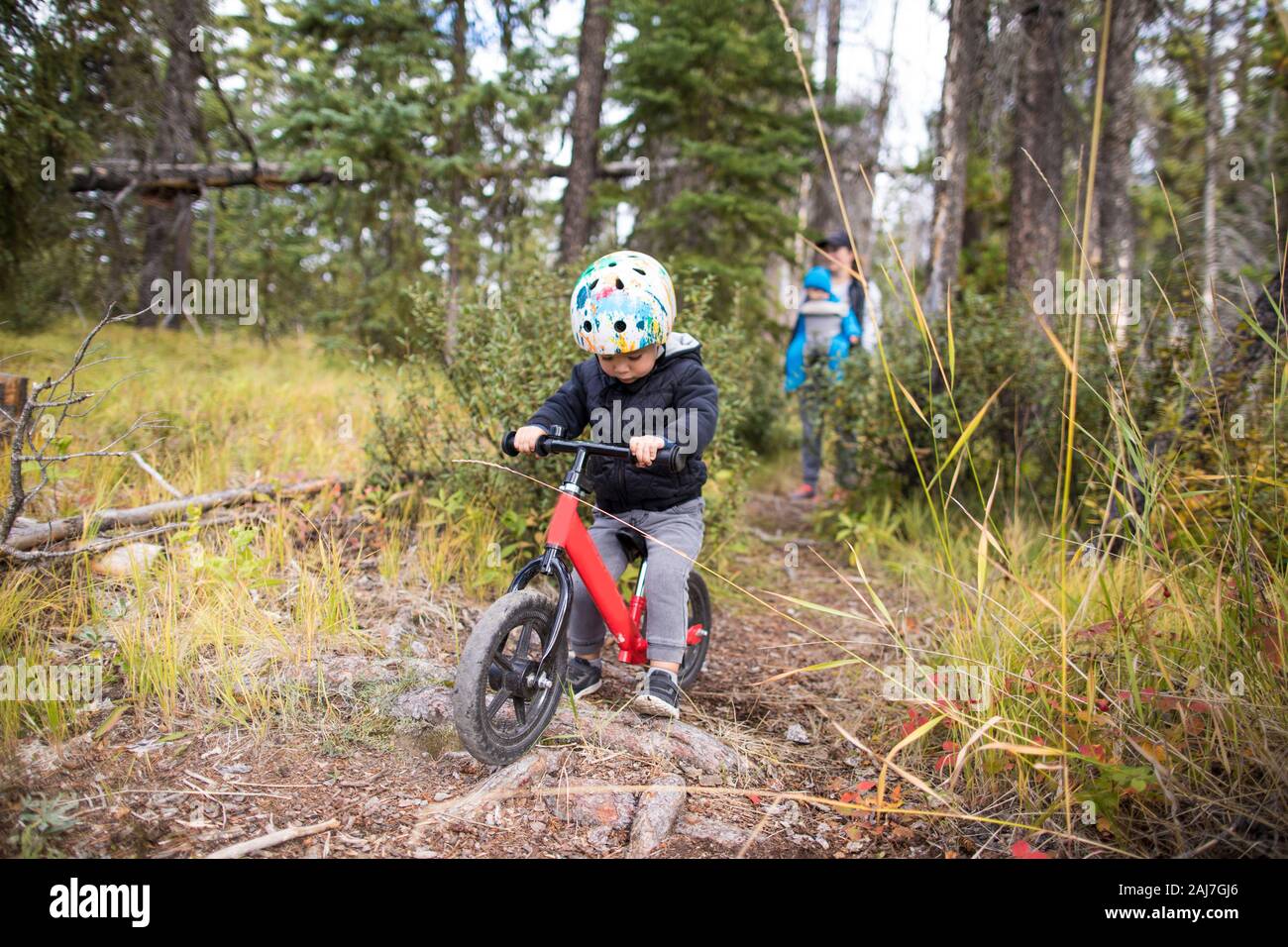 Junge Fahrrad über Baumwurzeln im Wald Stockfoto