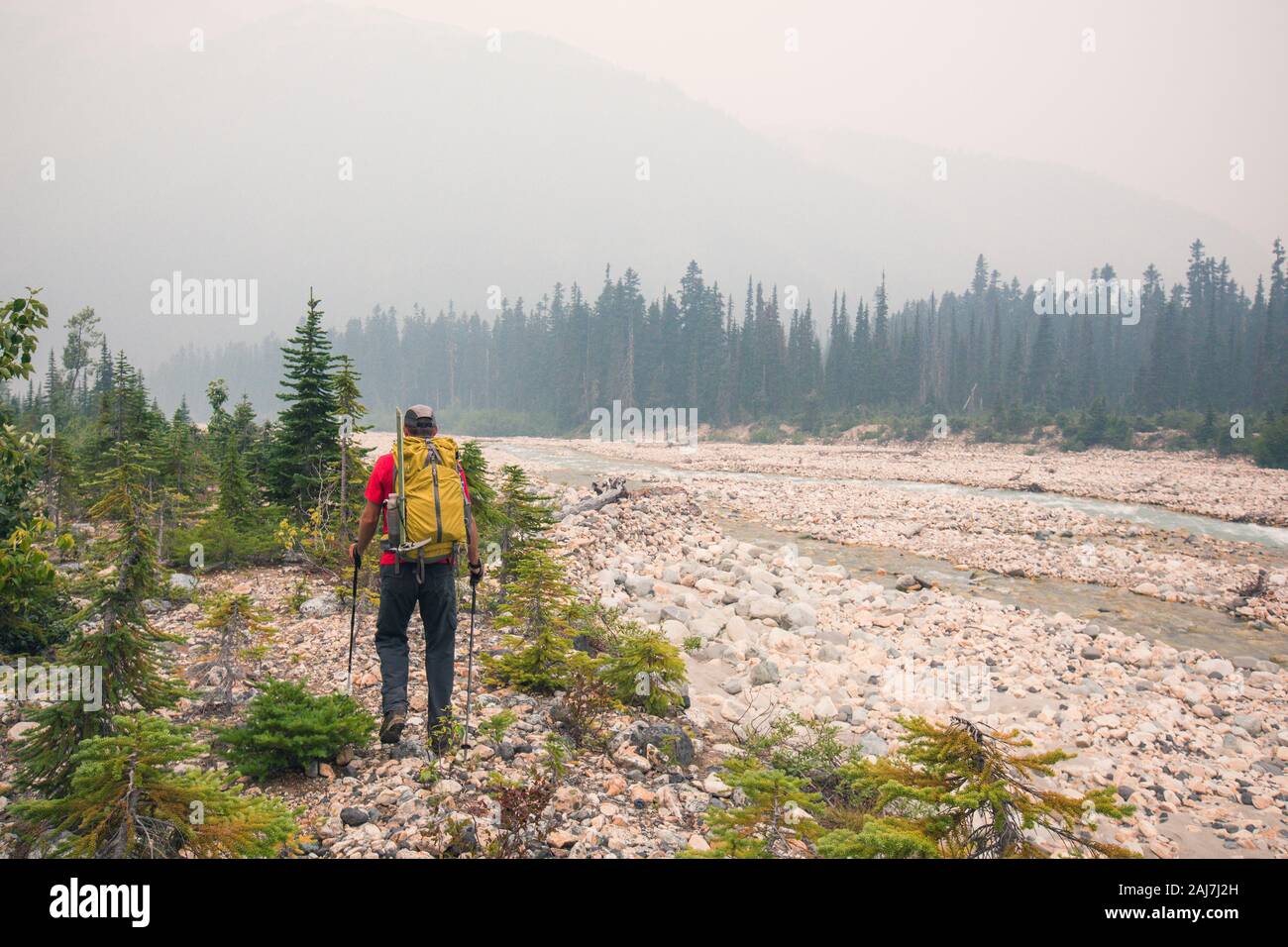 Backpacker folgen Salal Creek zum Athelney Pass. Stockfoto